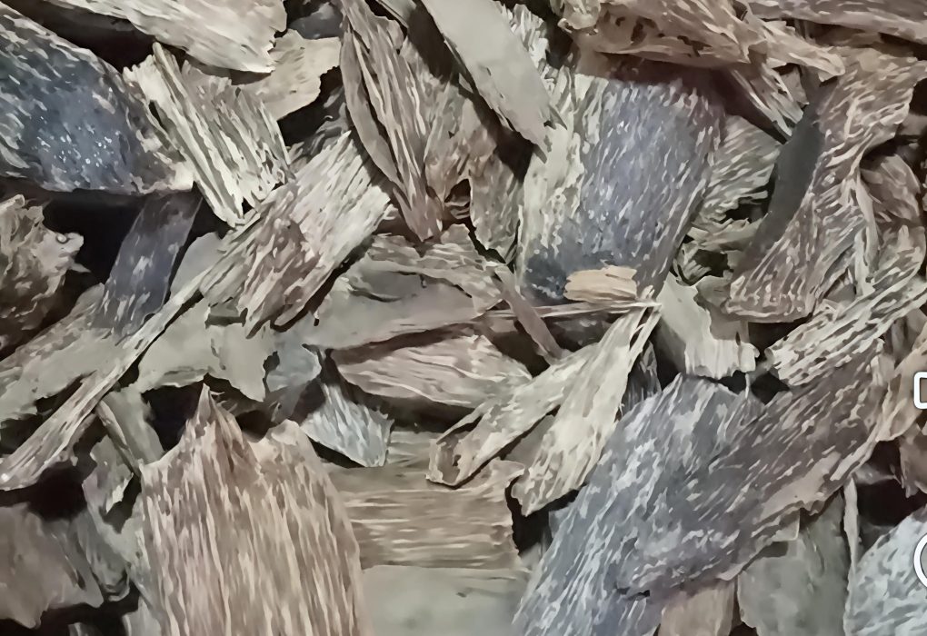 P31.65-M Agarwood Shipment Seized at NAIA