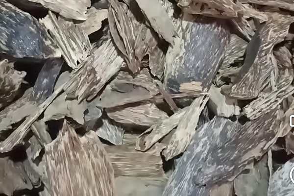 P31.65-M Agarwood Shipment Seized at NAIA