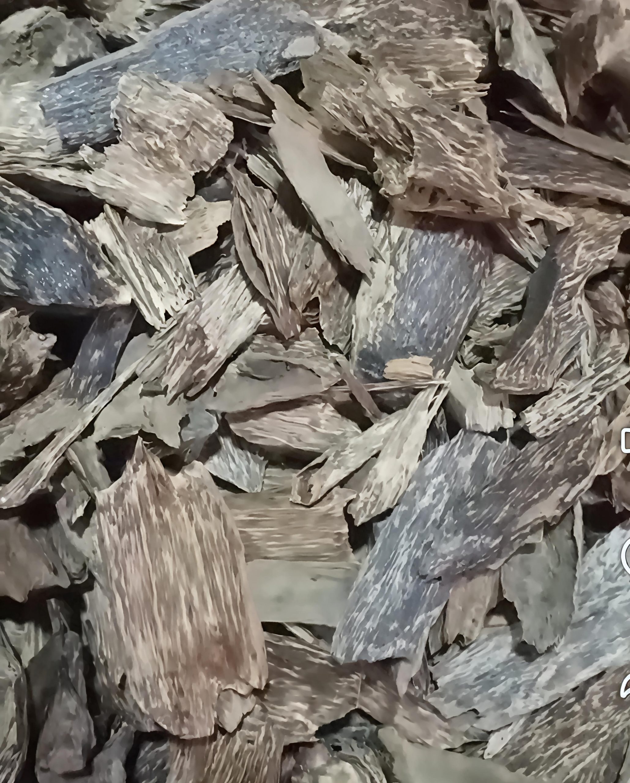P31.65-M Agarwood Shipment Seized at NAIA