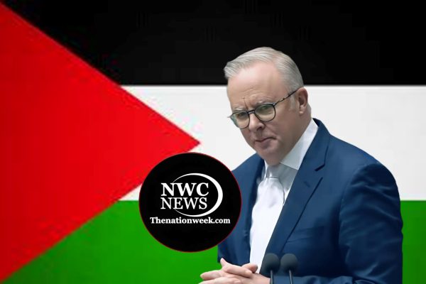 Albanese Walks a Fine Line After Hamas Praises Palestine Recognition