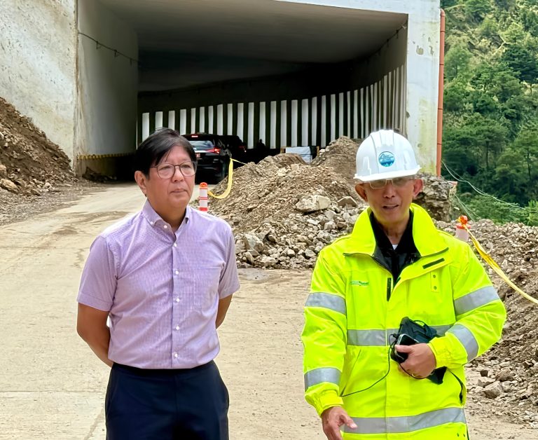 Magalong Resigns From Newly Created Infra Probe Body