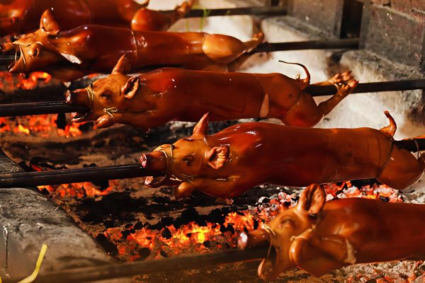 ASF Outbreak Shuts Down La Loma Lechon District