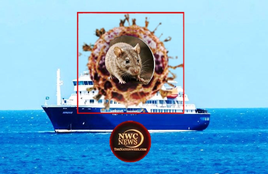 Global Health Alert: Antarctic Cruise Ship Triggers International Scramble to Contain Hantavirus Outbreak