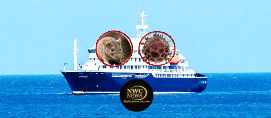 Suspected Hantavirus Outbreak Plagues Cruise Ship; Three Fatalities Reported